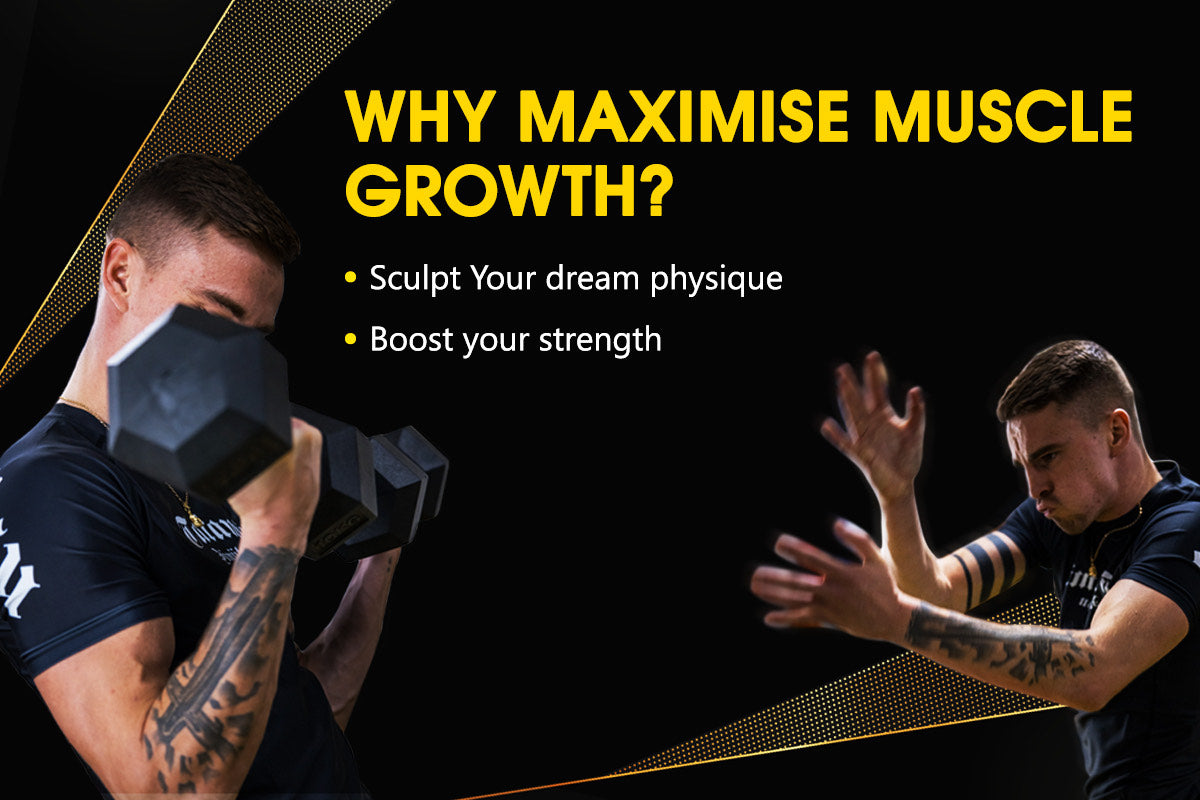 Maximising Muscle Growth Programme