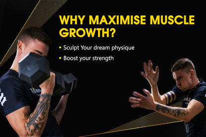 Maximising Muscle Growth Programme